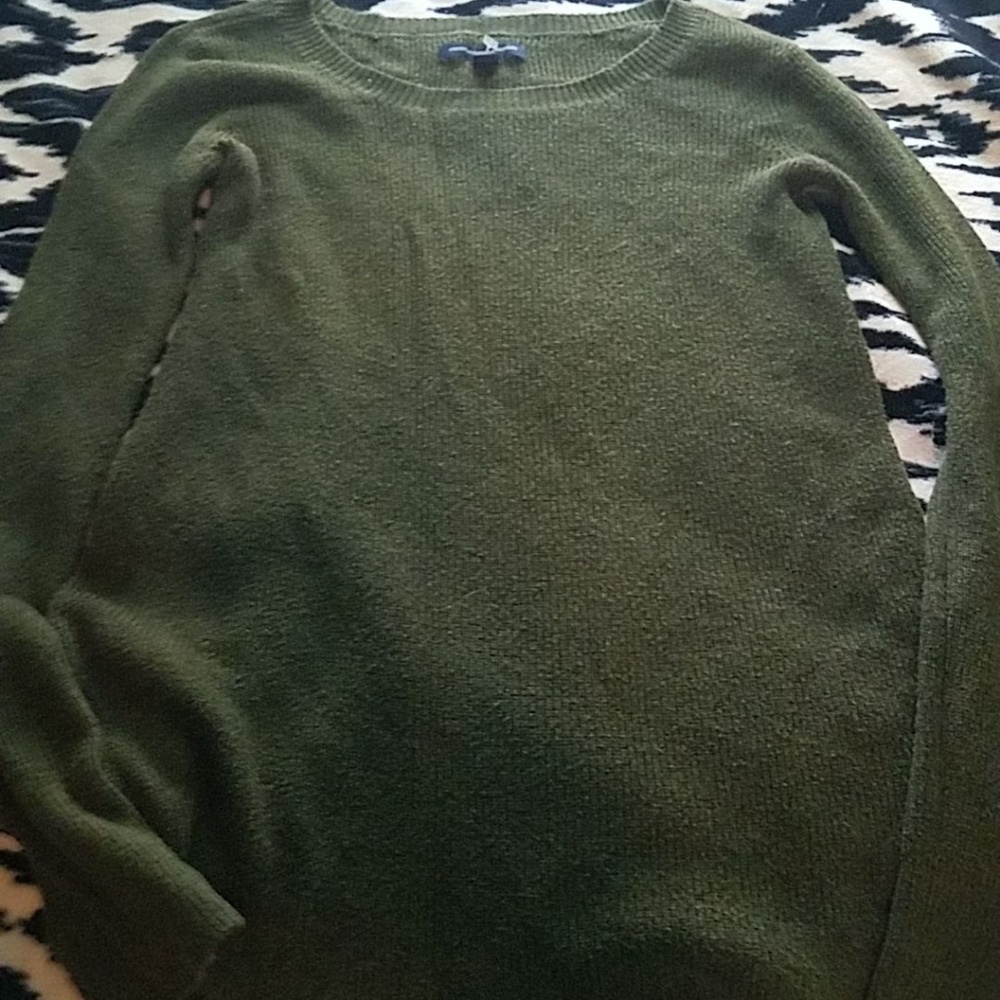 Green American eagle sweater